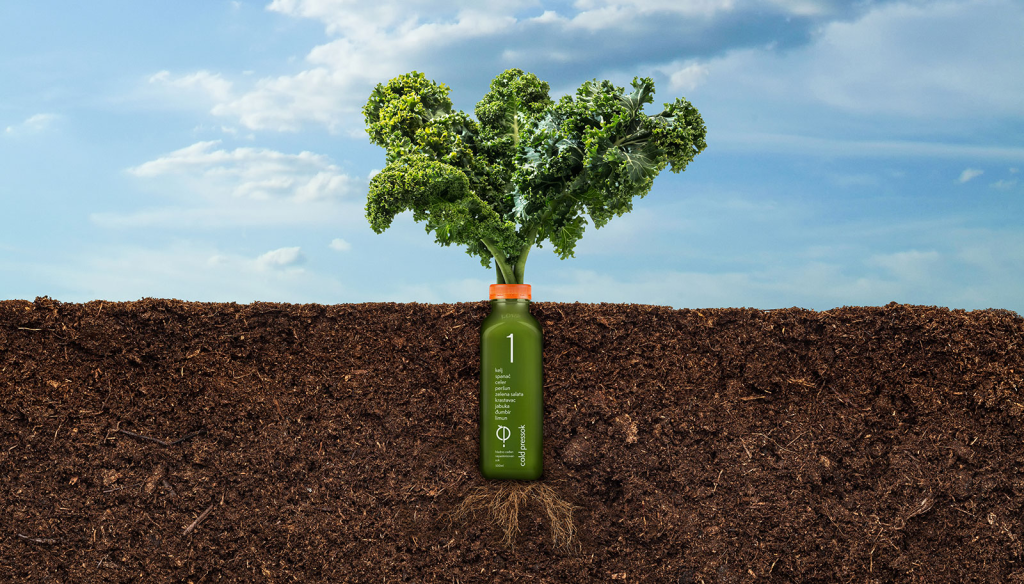 Detox organizma - Cold Pressok