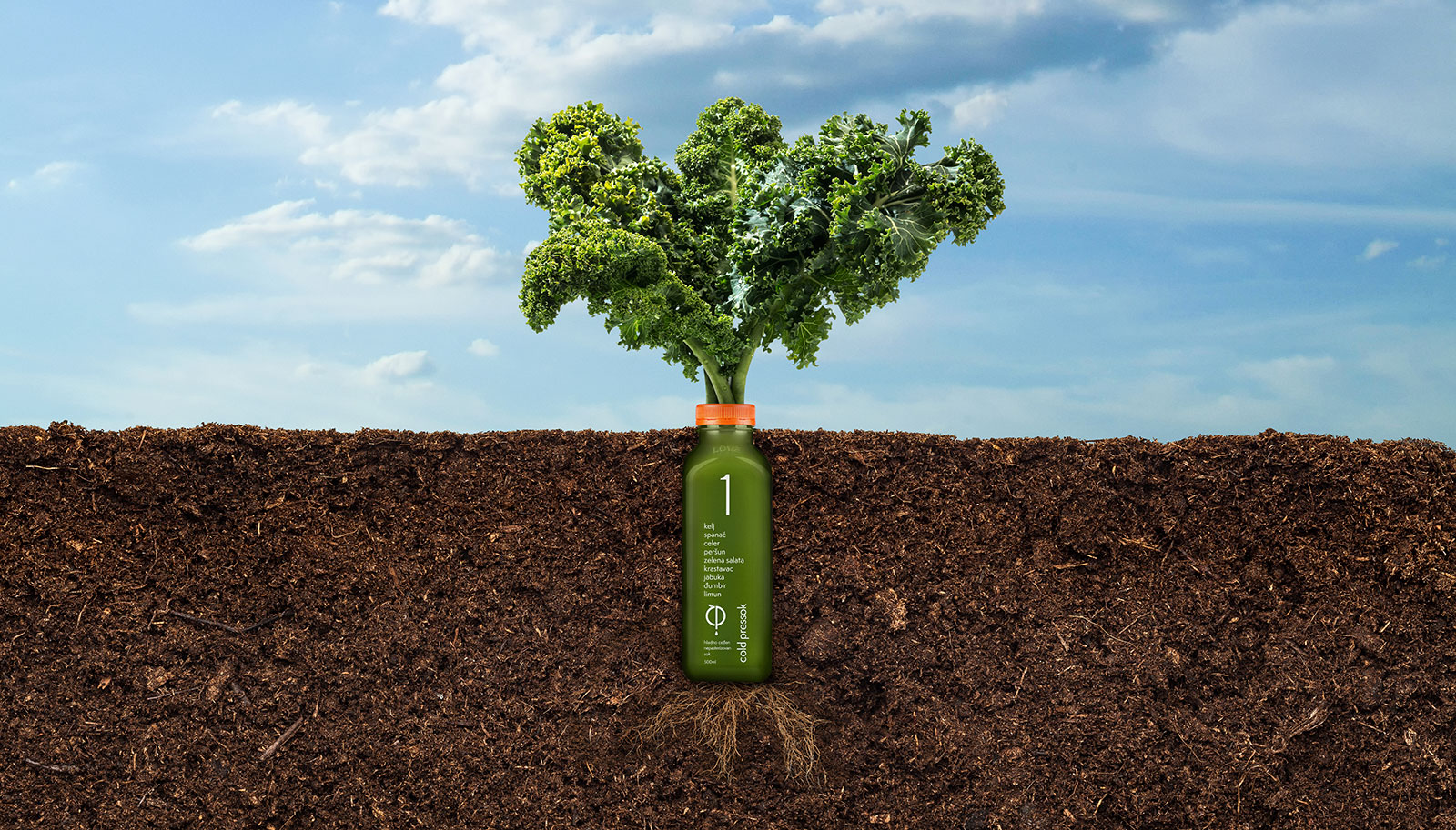Detox organizma - Cold Pressok