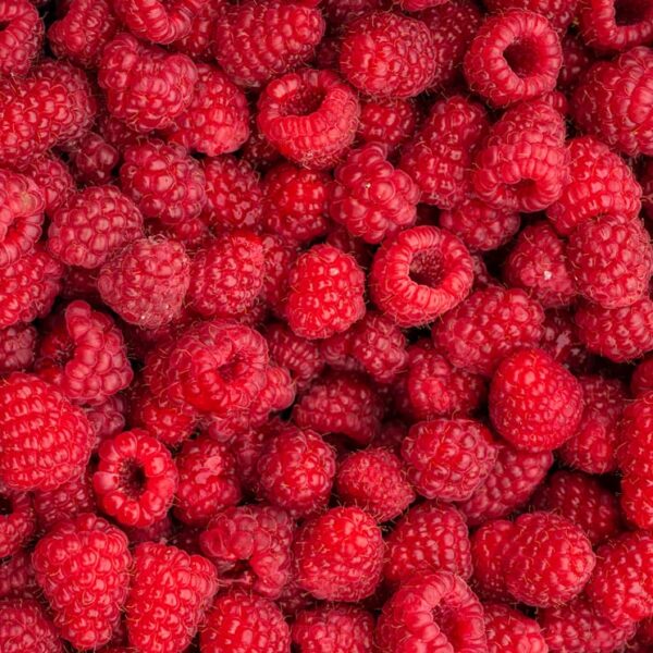 Malina - sveže maline