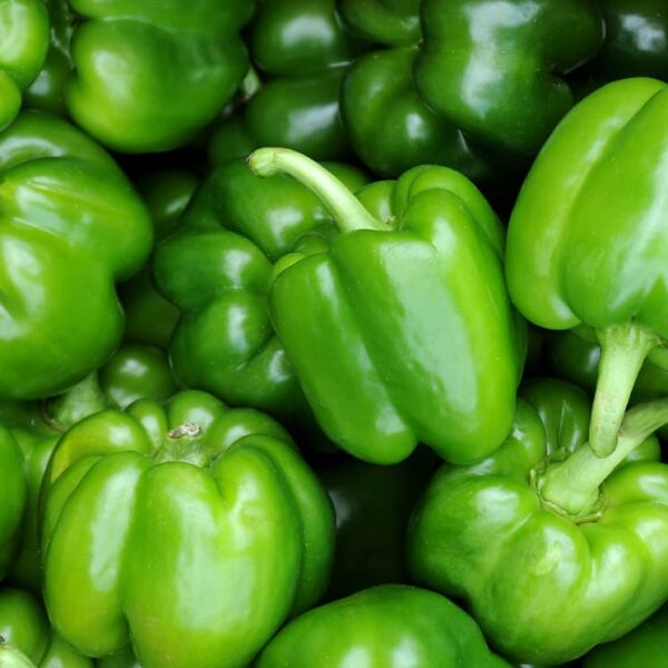 zelena paprika