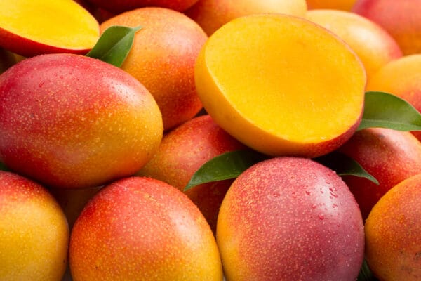 Mango - egzotično voće