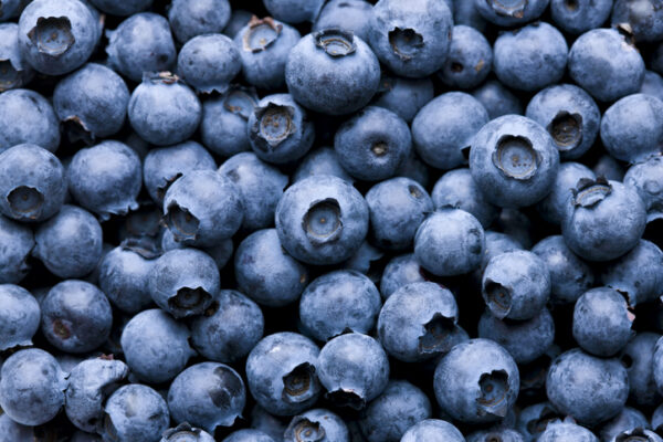 Blueberry - borovnice.